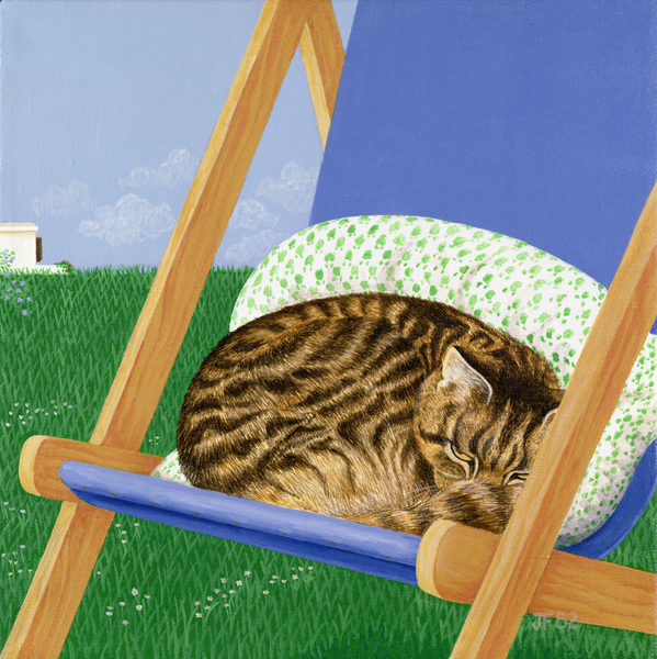 Tabby cat asleep in a deck chair de Joan Freestone
