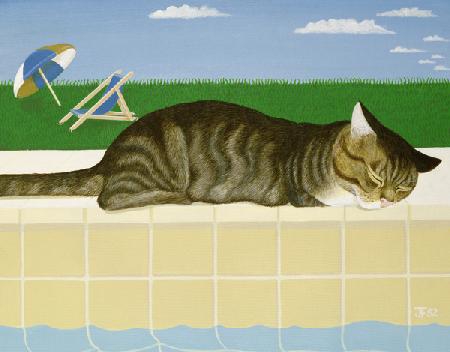 Tabby cat by a pool