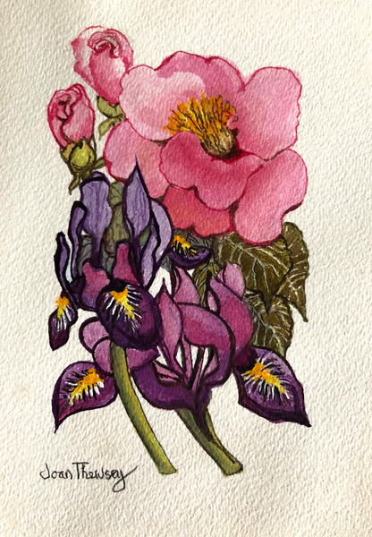 Camellia and Dutch Iris de Joan  Thewsey