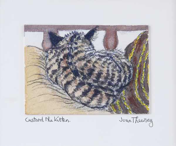 Custard the Kitten de Joan  Thewsey