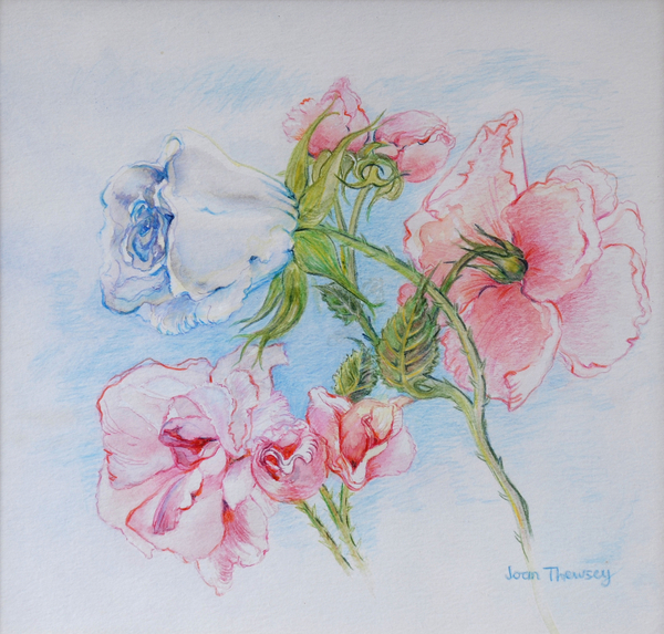 Morning Roses de Joan  Thewsey