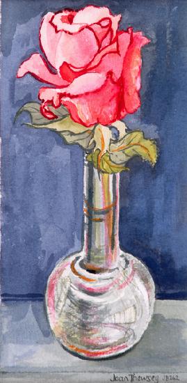 Pink Rose in a Bud Vase