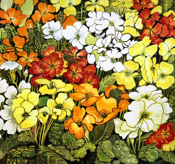 Primrose Border, white, yellow, orange and red primroses de Joan  Thewsey