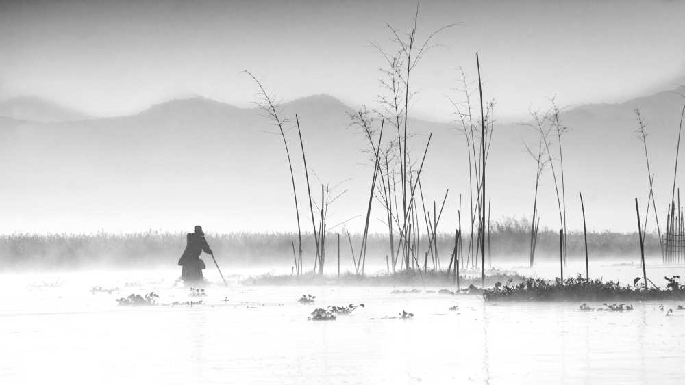 Fishing in a misty morning de Joe B N