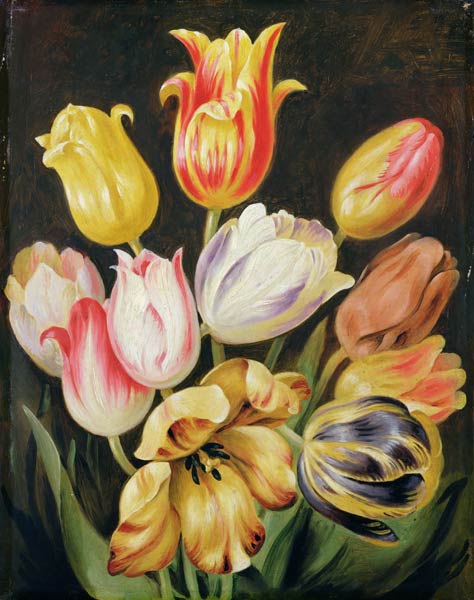 Flower Study de Joh. Friedrich August Tischbein