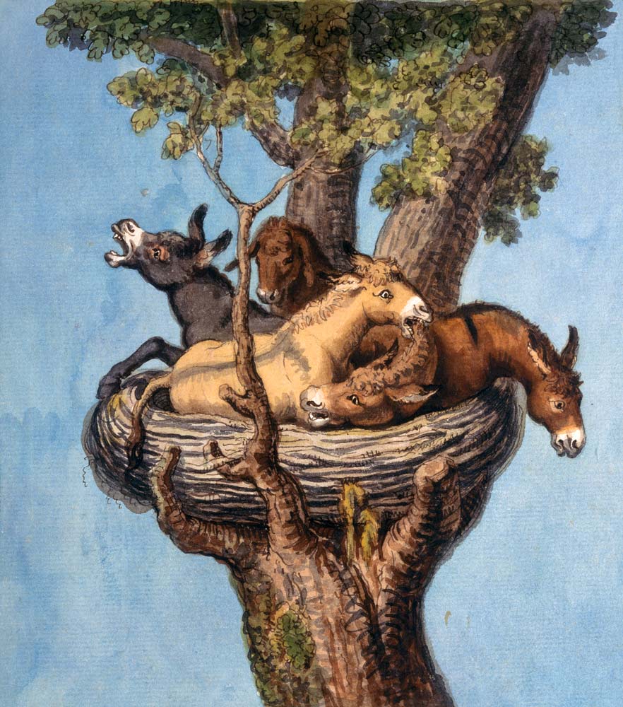 Donkey in the nest (donkey history) de Joh. Heinrich Wilhelm Tischbein