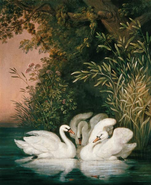 Swans de Joh. Heinrich Wilhelm Tischbein