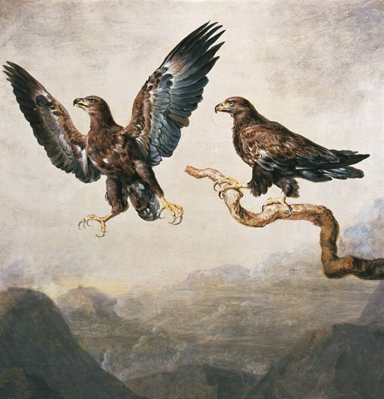 Eagle de Joh. Heinrich Wilhelm Tischbein