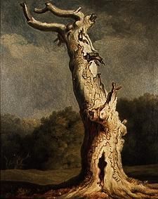 Old oak de Joh. Heinrich Wilhelm Tischbein