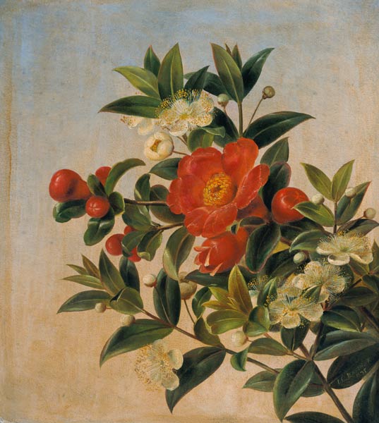 Flowers de Johan Laurentz Jensen