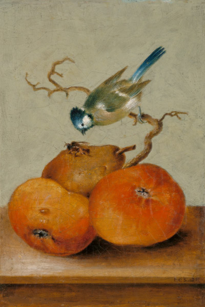 Fruchtstück mit Meise und Biene. de Johann Conrad Seekatz