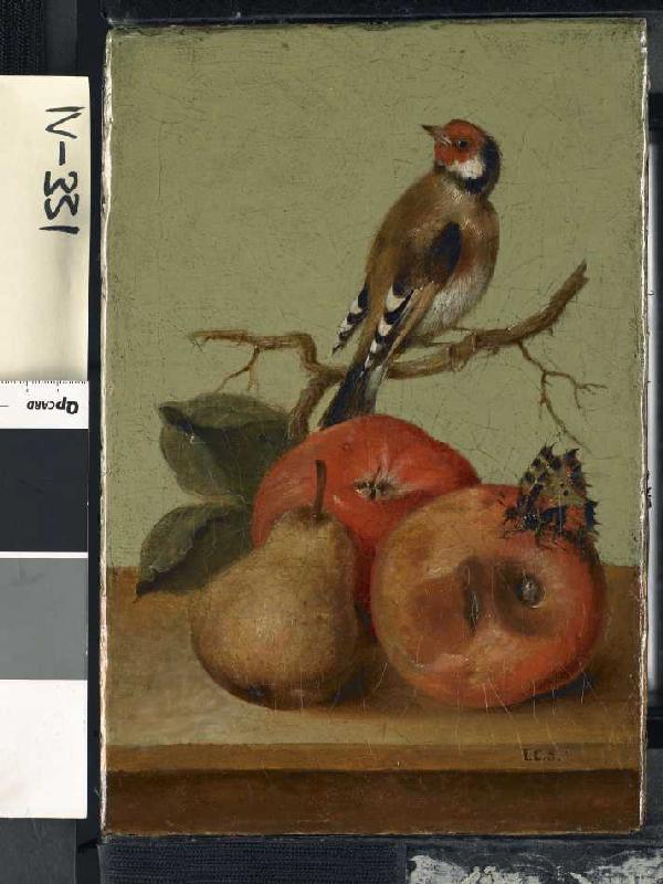 Fruchtstück mit Buntfink und Schmetterling. de Johann Conrad Seekatz