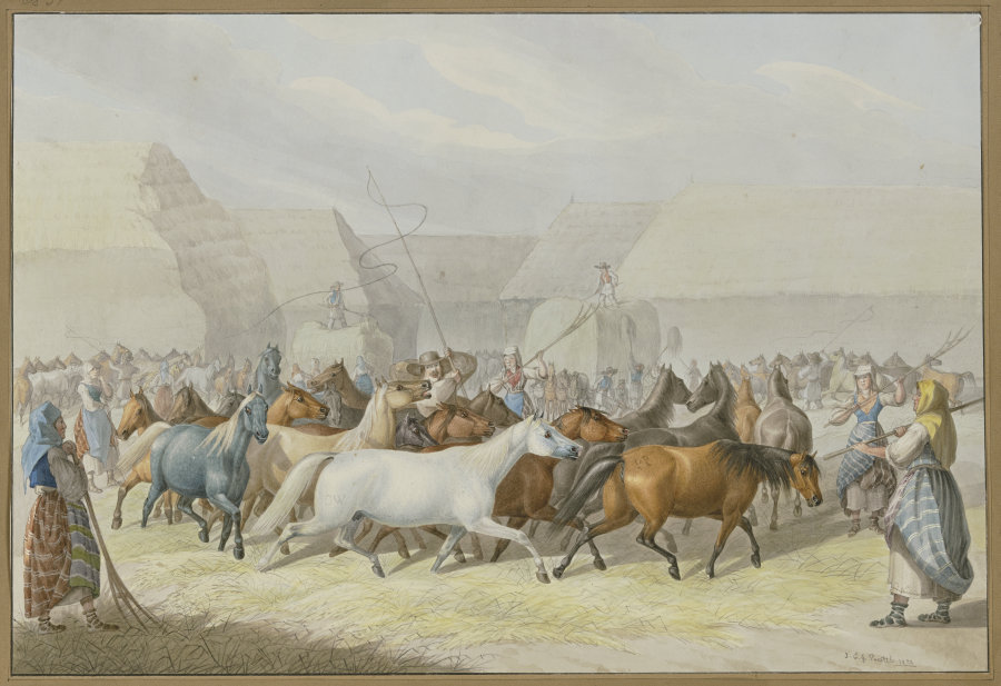 Darstellung des Fruchtdreschens mit Pferden in Syrmien (Slavonien) de Johann Erdmann Gottlieb Prestel