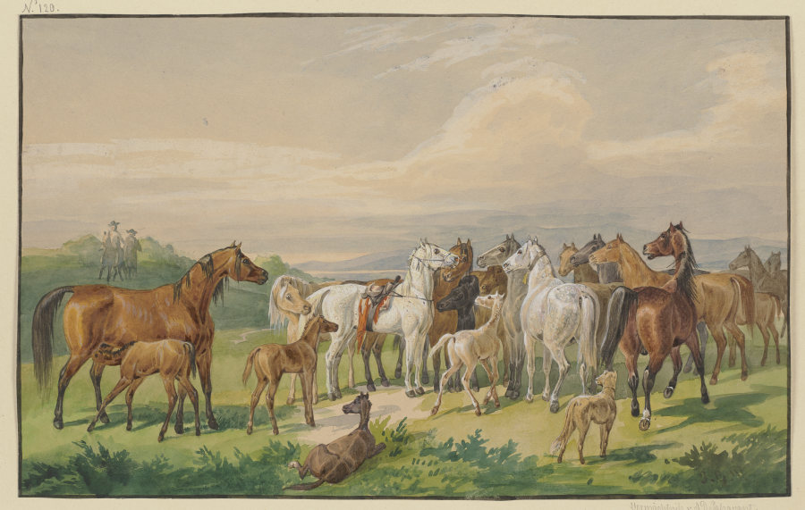 Ein gesatteltes Militärpferd kehrt zu seiner wilden Herde zurück de Johann Erdmann Gottlieb Prestel