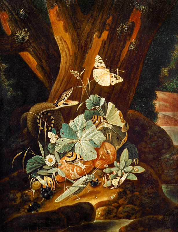 Insekten, Schnecken und Schlange de Johann Falch