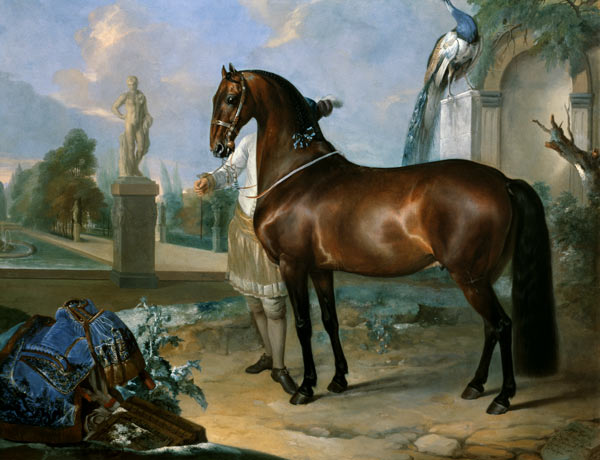 The bay horse' Sincero' de Johann Georg Hamilton