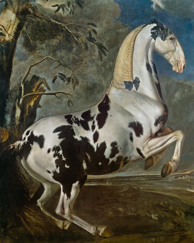 The Piebald Stallion at the Eisgruber Stud de Johann Georg Hamilton