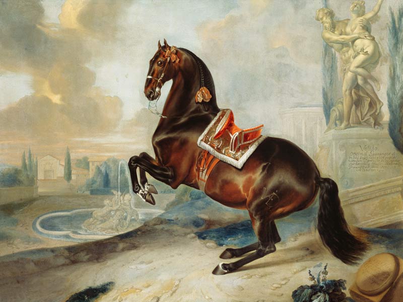 The dark bay horse 'Valido' performing a Levade movement de Johann Georg Hamilton