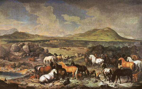 The Imperial Stud with Lipizzaner Horses de Johann Georg Hamilton