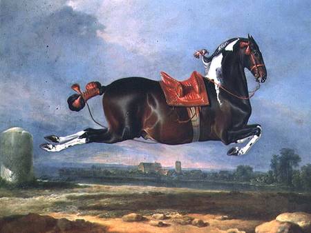 The piebald horse 'Cehero' rearing de Johann Georg Hamilton