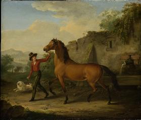 A Groom Leading a Stallion from the Drinking Trough