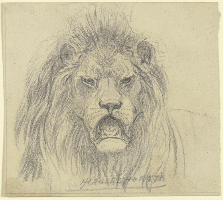 Lions head de Johann Heinrich Hasselhorst
