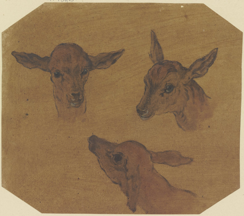 Three doe heads de Johann Melchior Roos