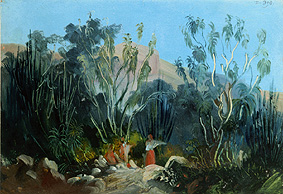 Jalapa et Cordoba. de Johann Moritz Rugendas