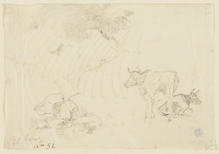 Zwei Kühe, eine stehend, eine liegend de Johann Nepomuk Rauch
