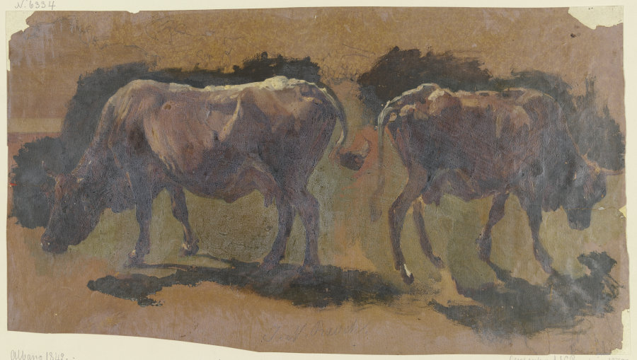 Two cows in Albano de Johann Nepomuk Rauch