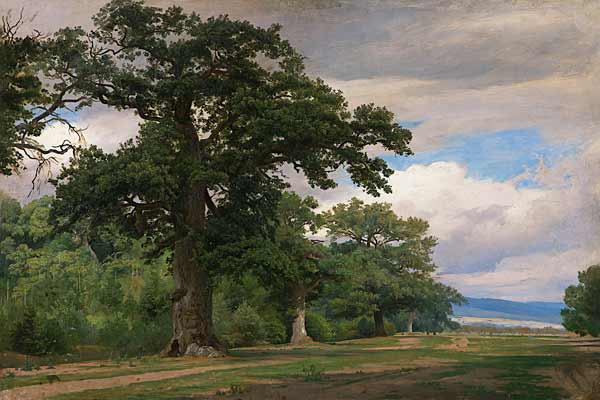 Großer Baum auf Waldschneise (Studie) de Johann Wilhelm Schirmer