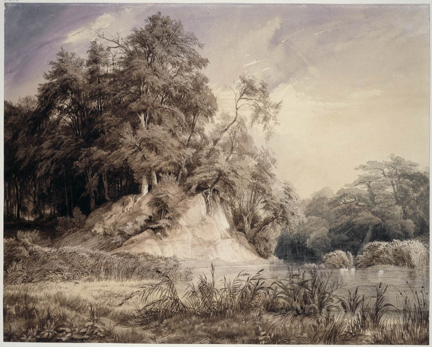 Forest Landscape with Lake and Swans de Johann Wilhelm Schirmer