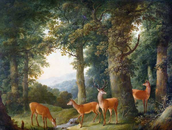 Waldlandschaft mit Rotwild de Johann Andreas Herrlein