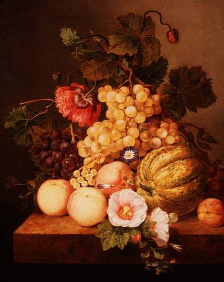 Still life with fruit de Johannes Cornelis Bruyn