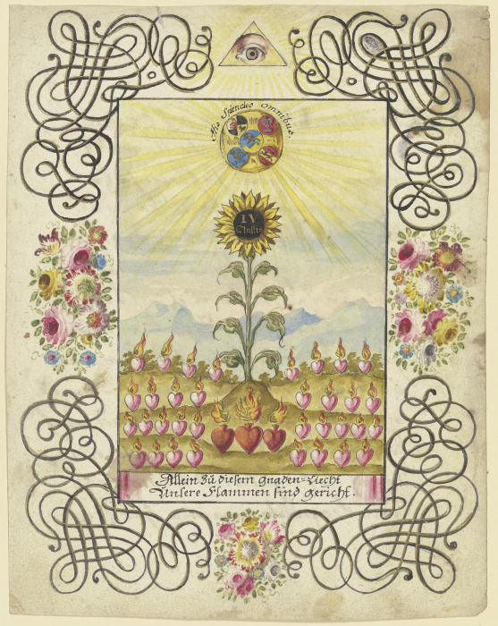 Sonnenblume mit Goldaufschrift de Johannes Esaias Nilson