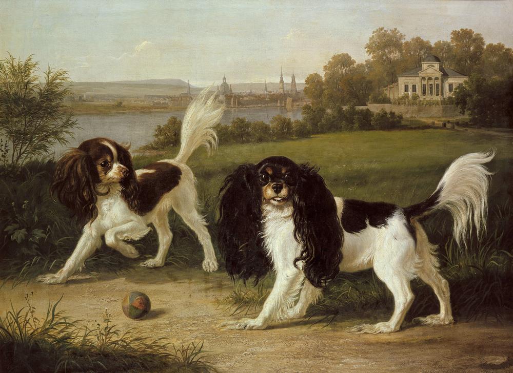 Zwei King-Charles-Hunde vor Dresden de Johann Friedrich Wilhelm Wegener