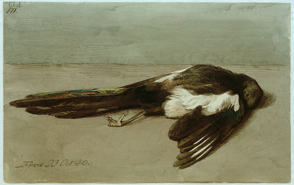 Eine tote Elster de Johan Thomas Lundbye