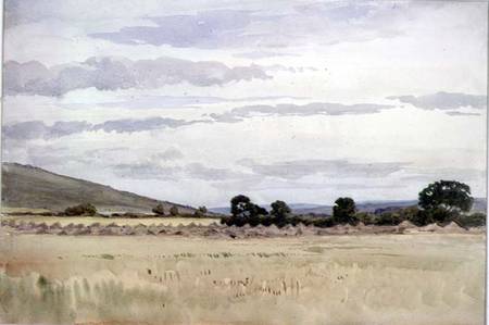 Landscape with cornfield de John Absolon