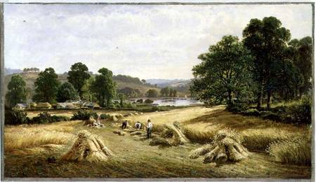 Gathering the Golden Grain near Bishopsteignton, Plymouth de John Barrett
