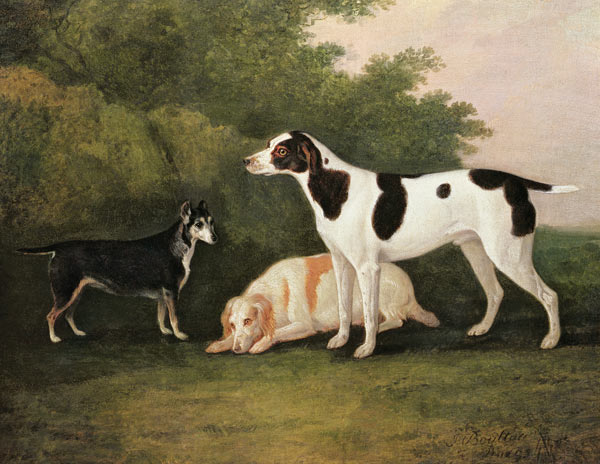 Three Dogs in a Landscape de John Boultbee