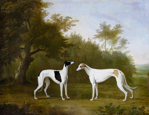 Two Greyhounds in a wooded landscape. de John Boultbee