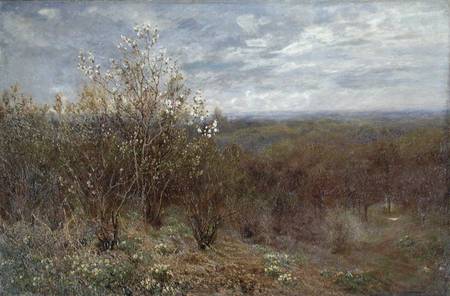 Spring in the Valley de John Clayton Adams