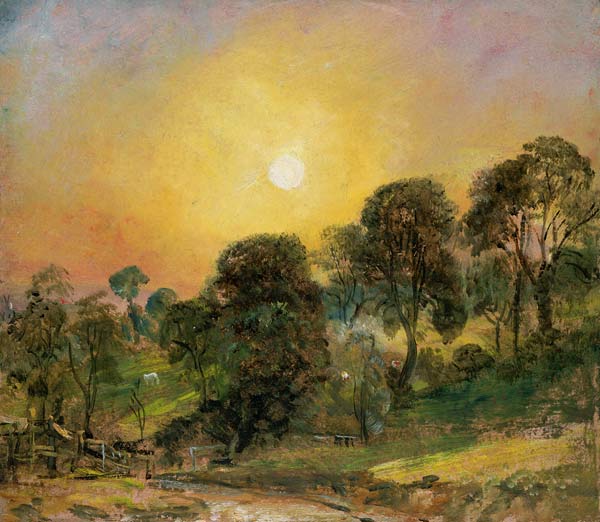 Trees on Hampstead Heath at Sunset (oil on paper) de John Constable