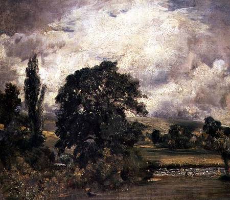 Water Meadows Near Salisbury de John Constable