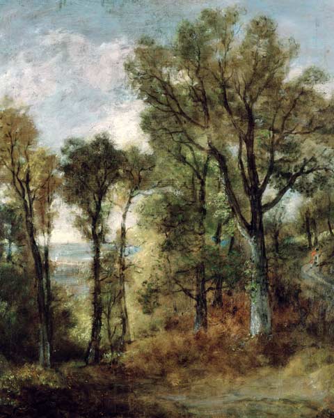 Woodland View in Suffolk de John Constable