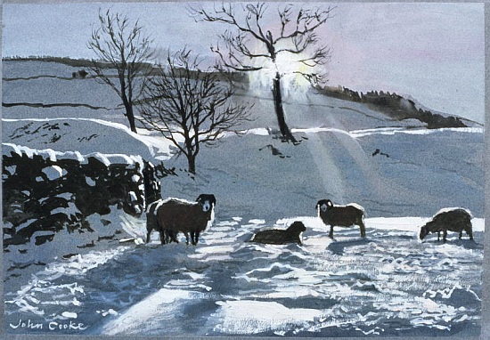 Winter Afternoon at Dentdale de John  Cooke