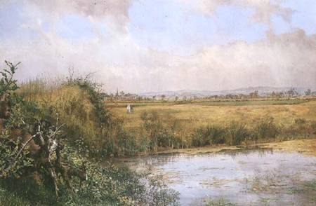 A View near Sefton, Lancashire de John Edward Newton