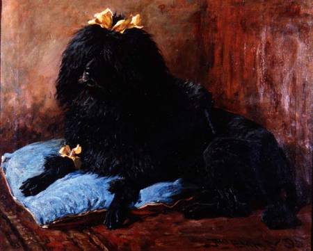 A Black Standard Poodle on a blue cushion de John Emms