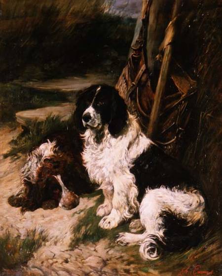 Brown and White and Black and White Spaniel de John Emms