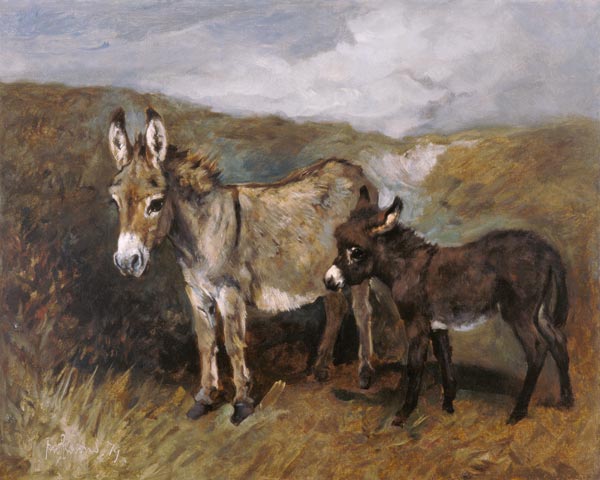 Donkeys out on the Moor de John Emms